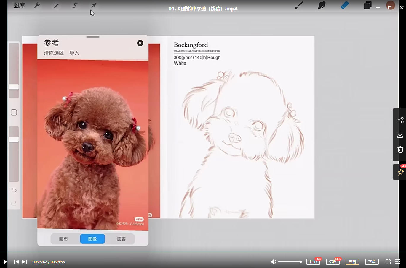 阿花宠物团练2021年7月结课ipad插画课【画质高清有笔刷素材】
