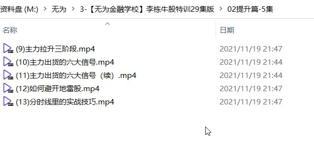 【无为金融学校】李栋牛股特训29集版