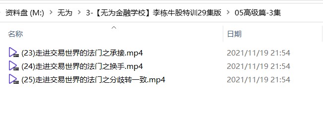 【无为金融学校】李栋牛股特训29集版